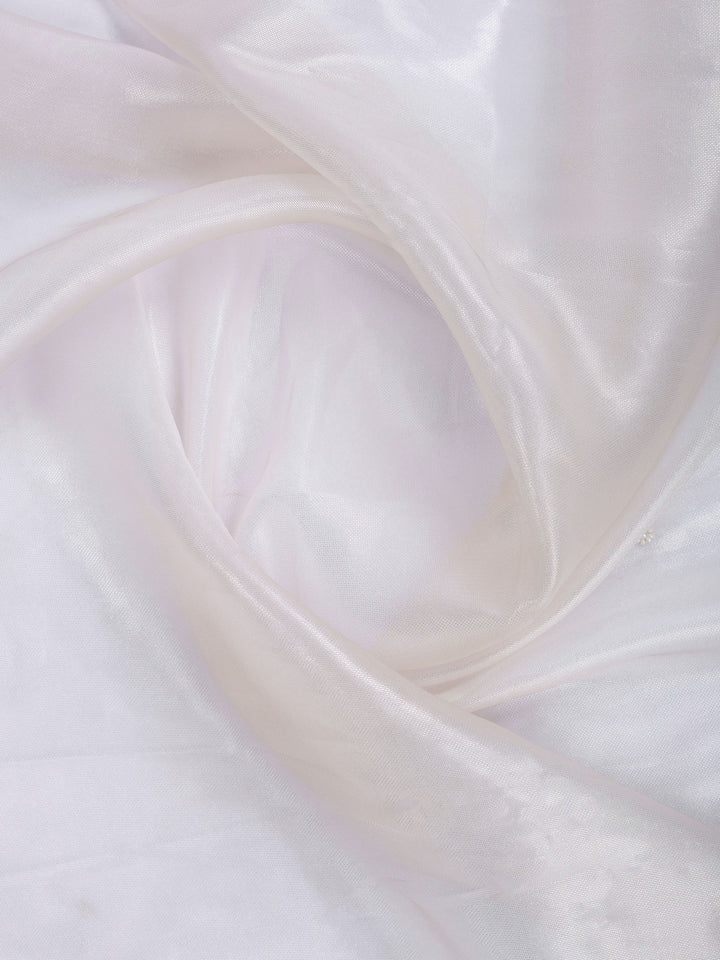 Cream Embroidered Tissue Saree