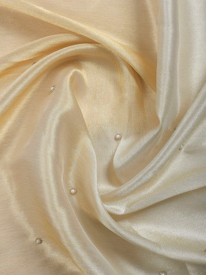 Beige Embroidered Tissue Saree