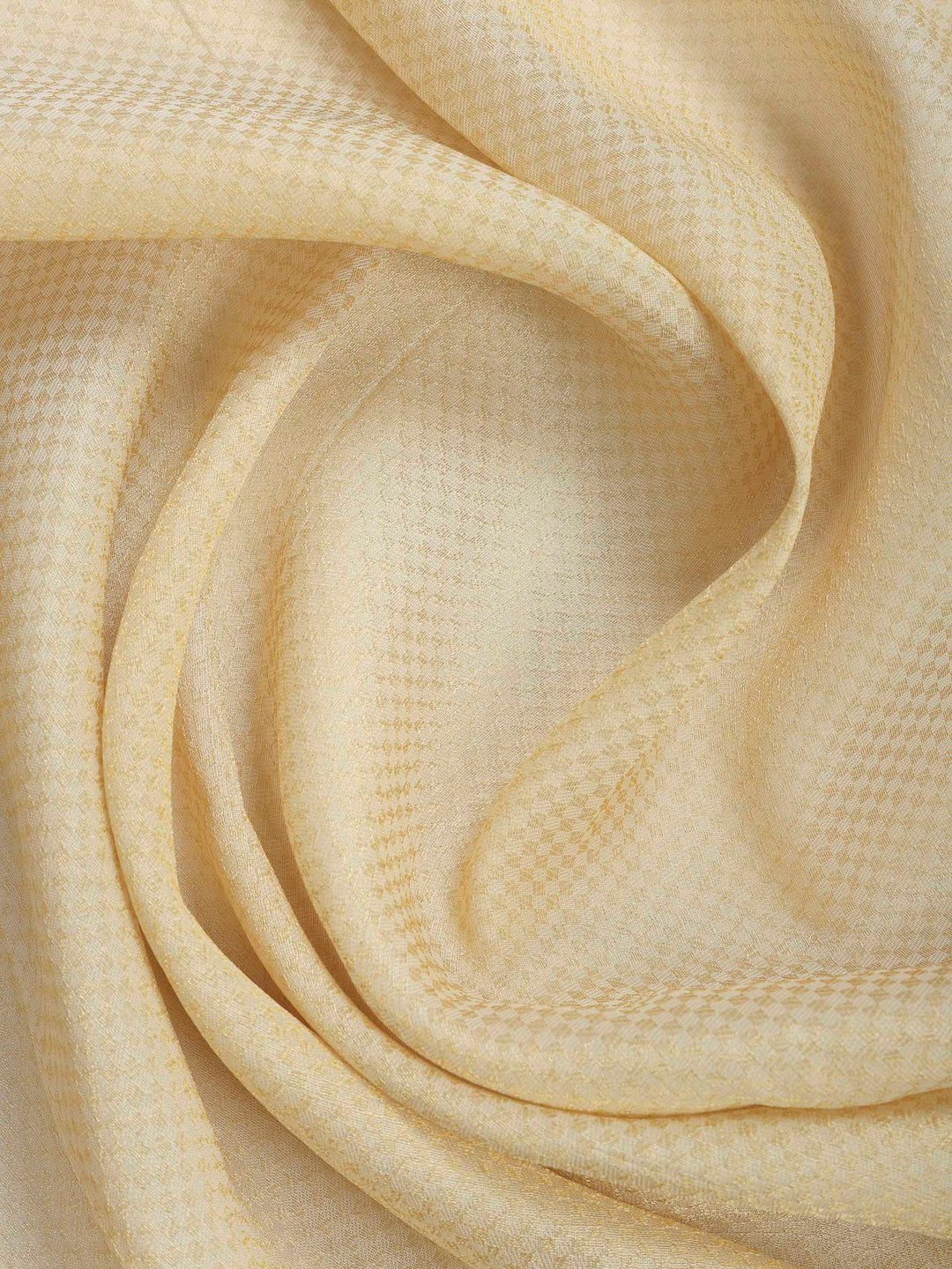 Beige Embroidered Tissue Saree