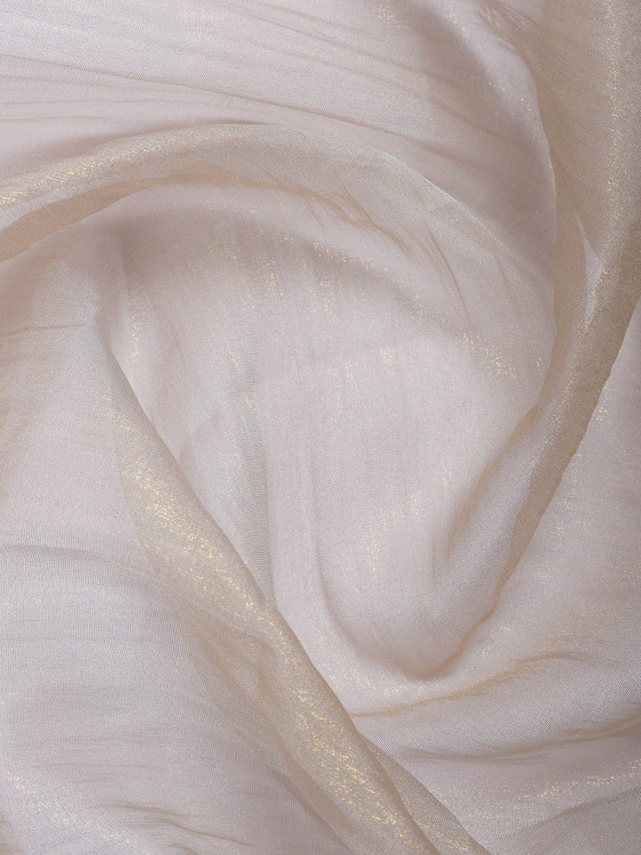 Grey Embroidered Tissue Saree