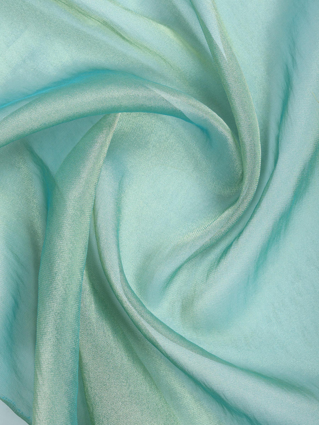 Sea Green Embroidered Tissue Saree