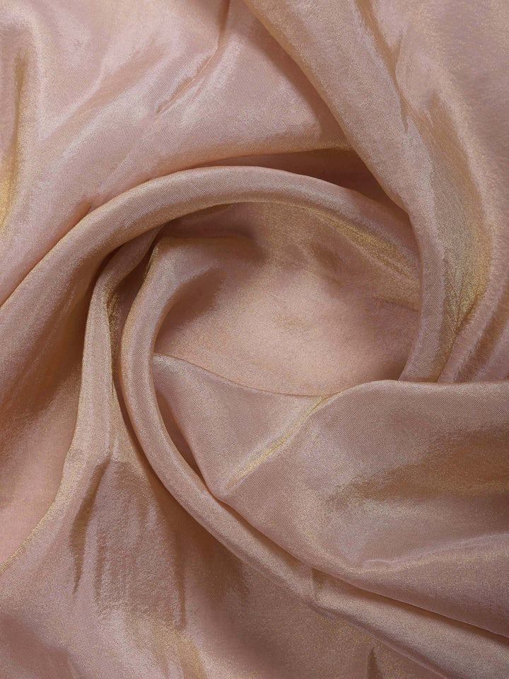 Beige Embroidered Tissue Saree
