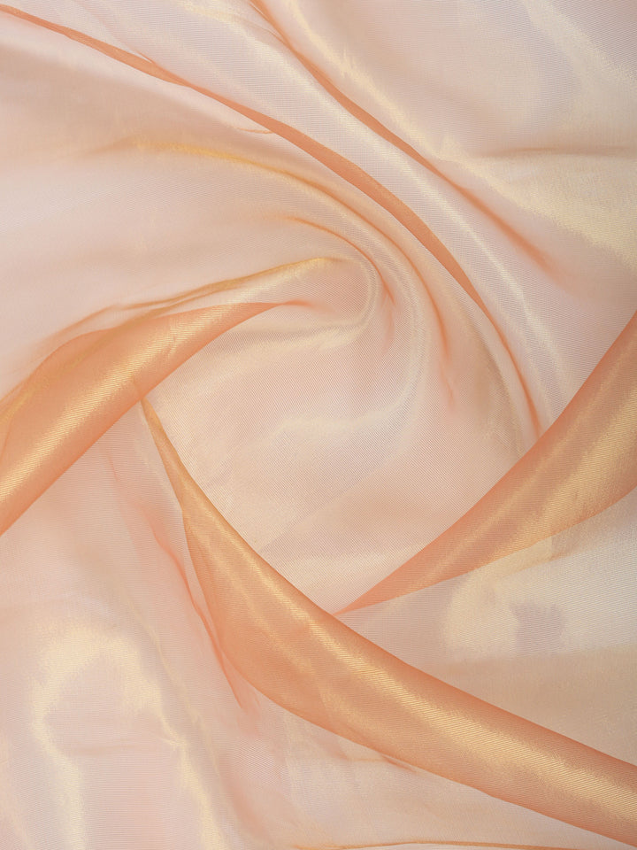Dusty Pink Embroidered Tissue Saree