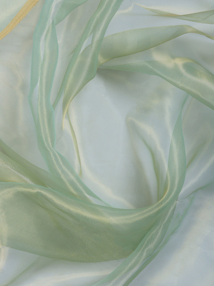 Pista Green Embroidered Tissue Saree