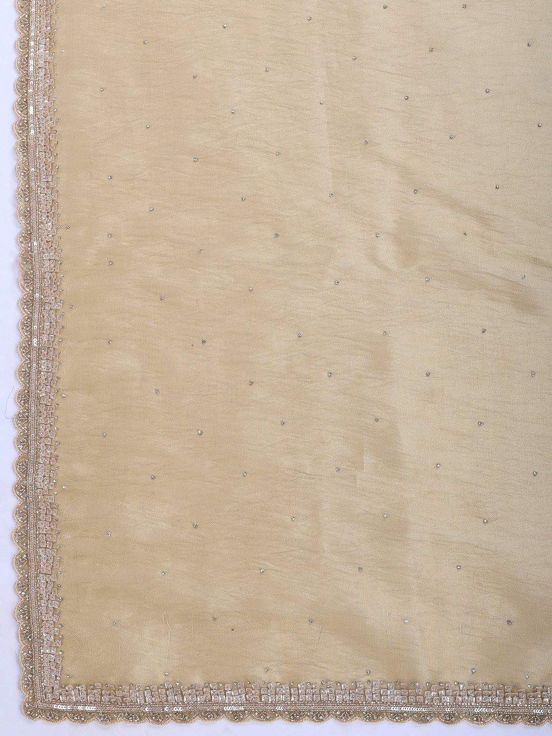 Mehndi Embroidered Tissue Saree