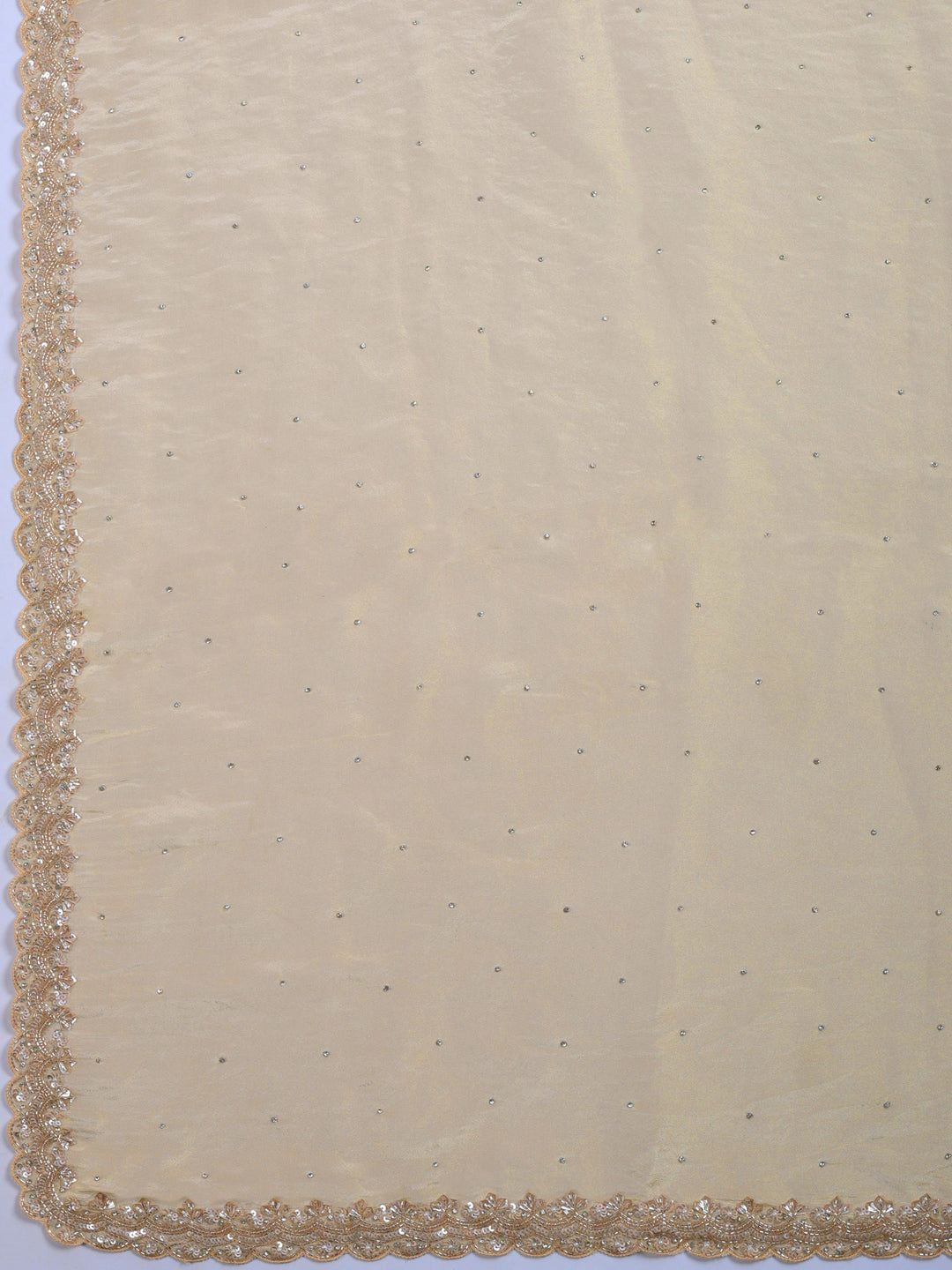 Beige Embroidered Tissue Saree