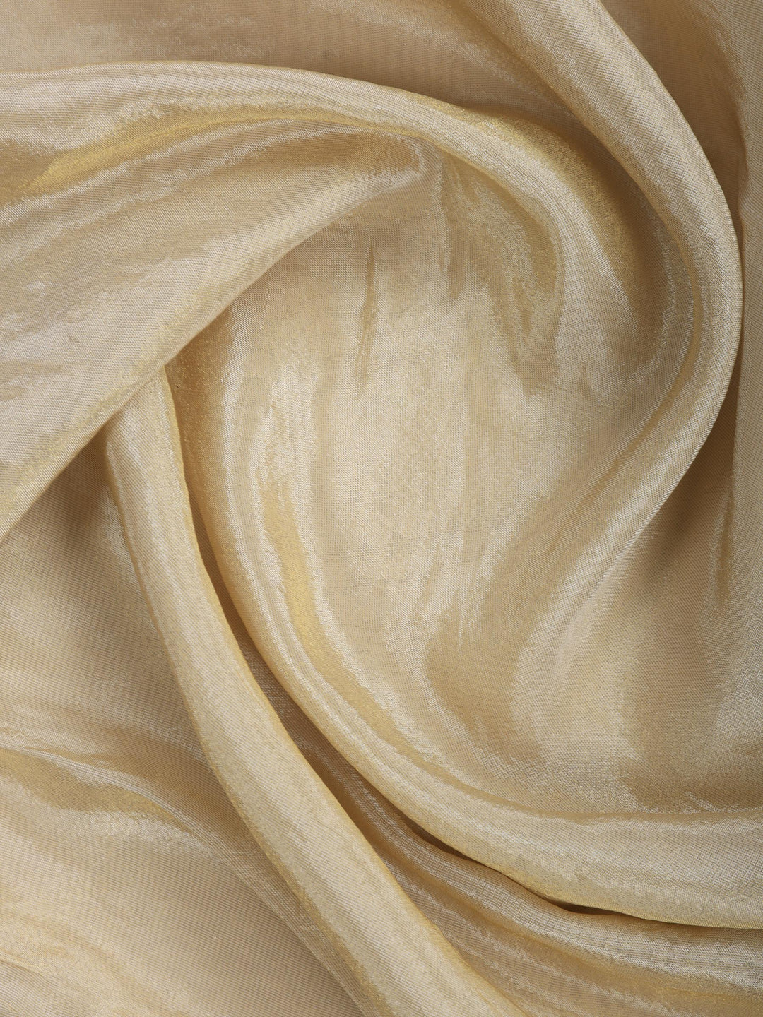 Beige Embroidered Tissue Saree