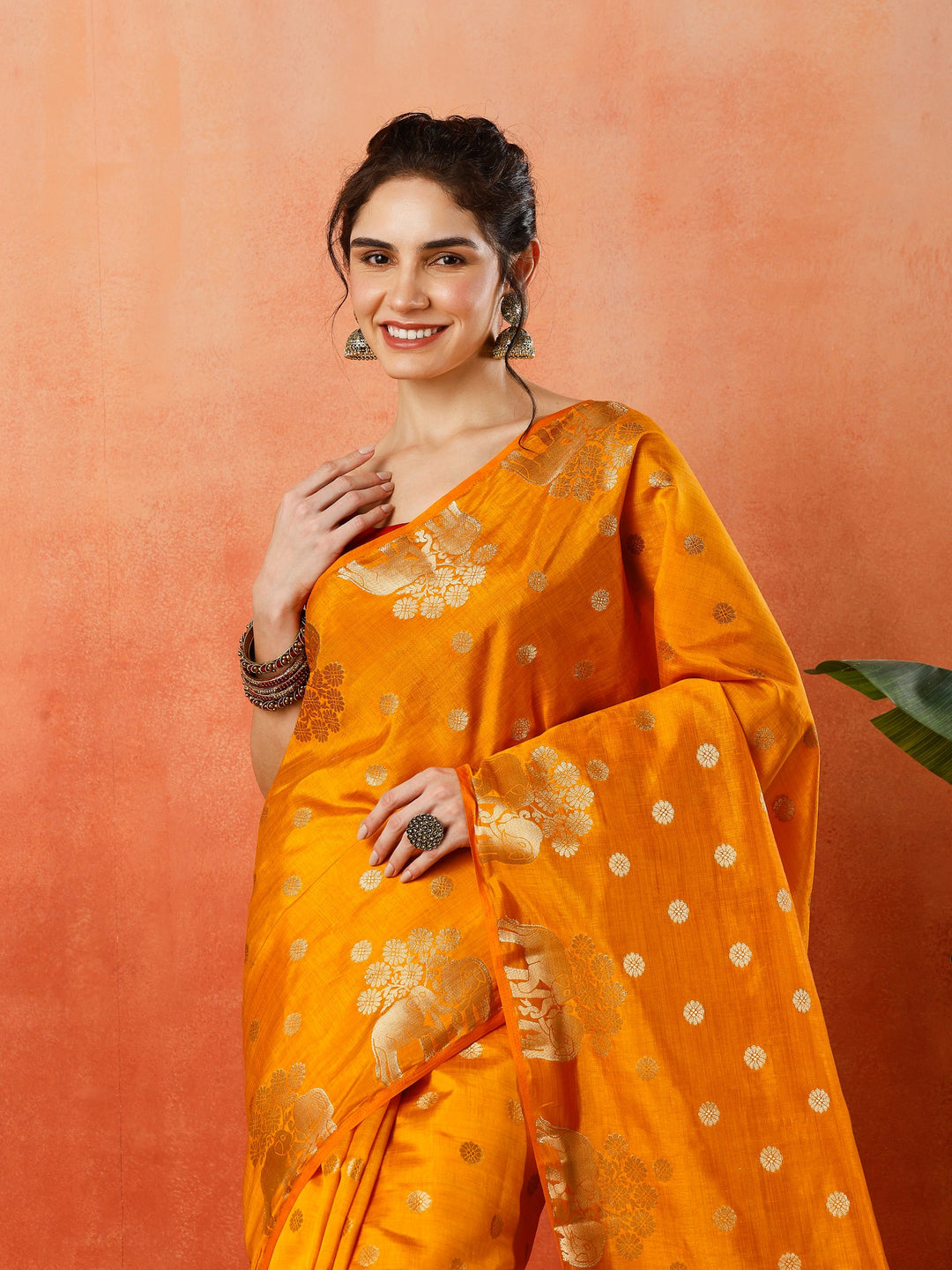 Woven Design Tussar Silk Saree