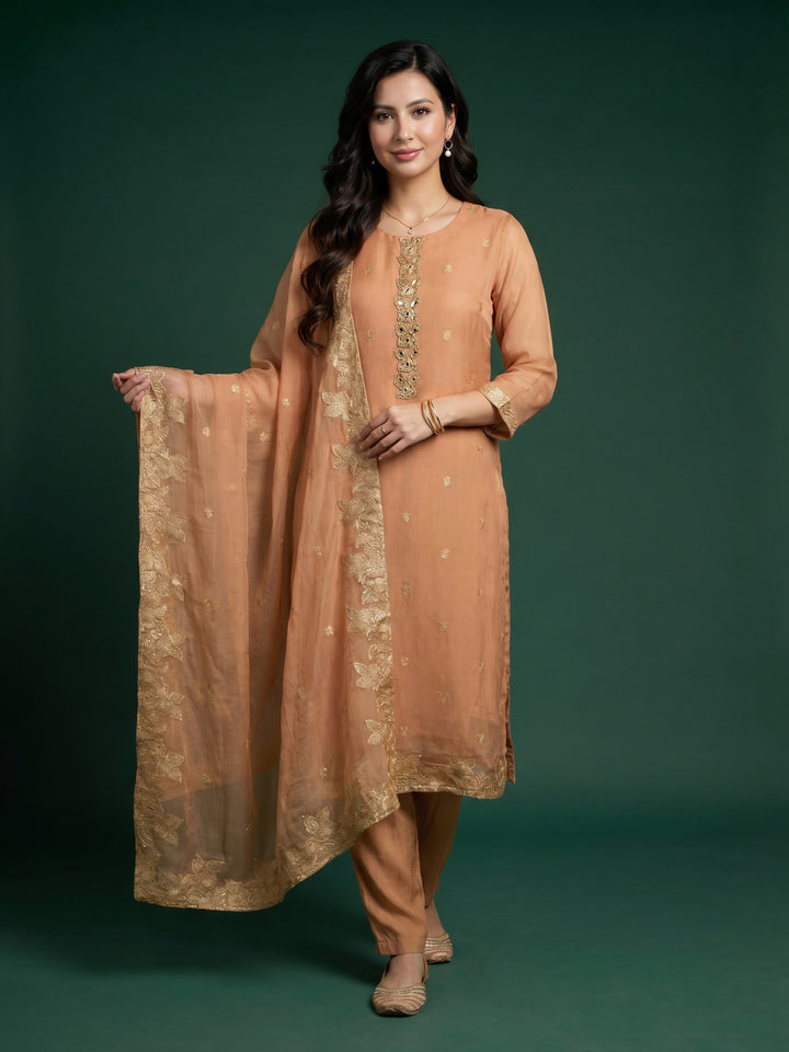 Brown Embroidered Chanderi Round Neck Suit Set