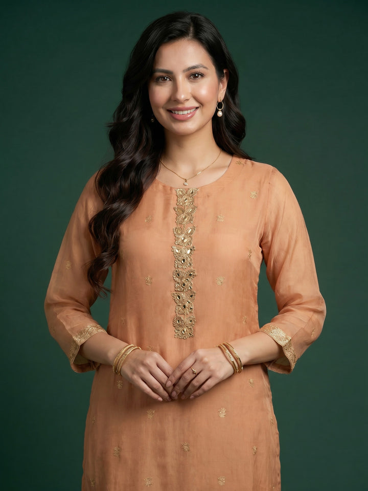 Brown Embroidered Chanderi Round Neck Suit Set