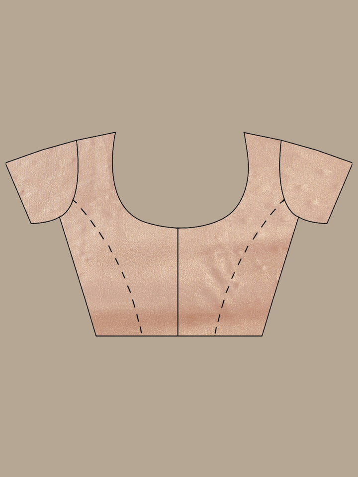 Peach Embroidered Tissue Saree