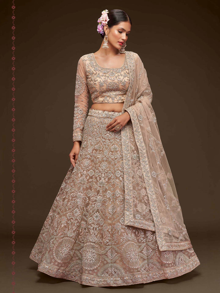 Beige Net Embroidered Semi Stitched Lehenga Choli with Dupatta