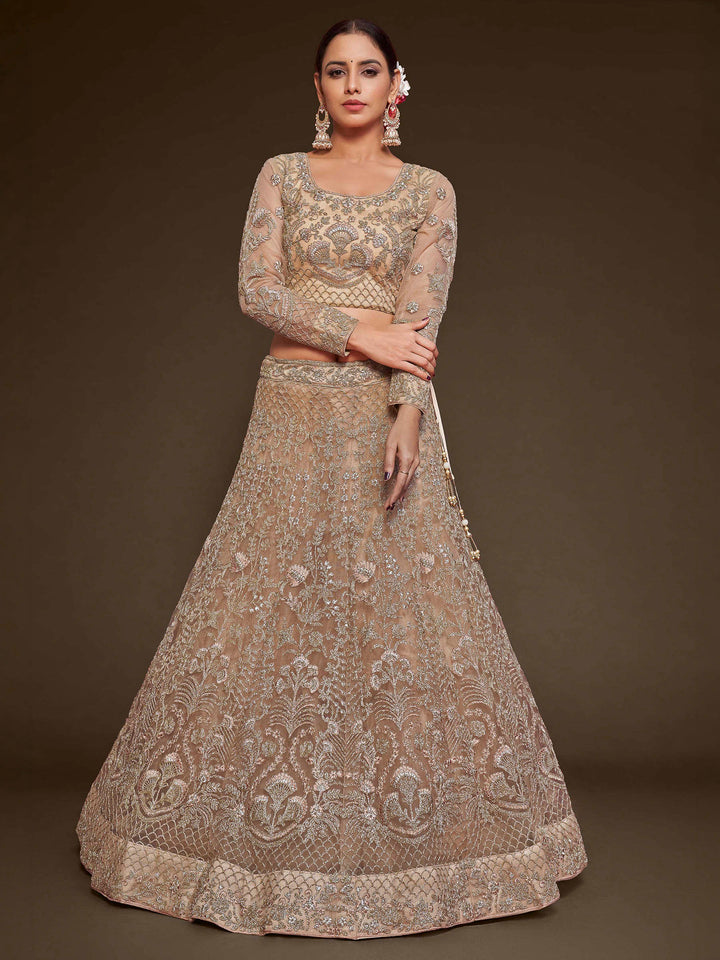 Beige Net Embroidered Semi Stitched Lehenga Choli with Dupatta