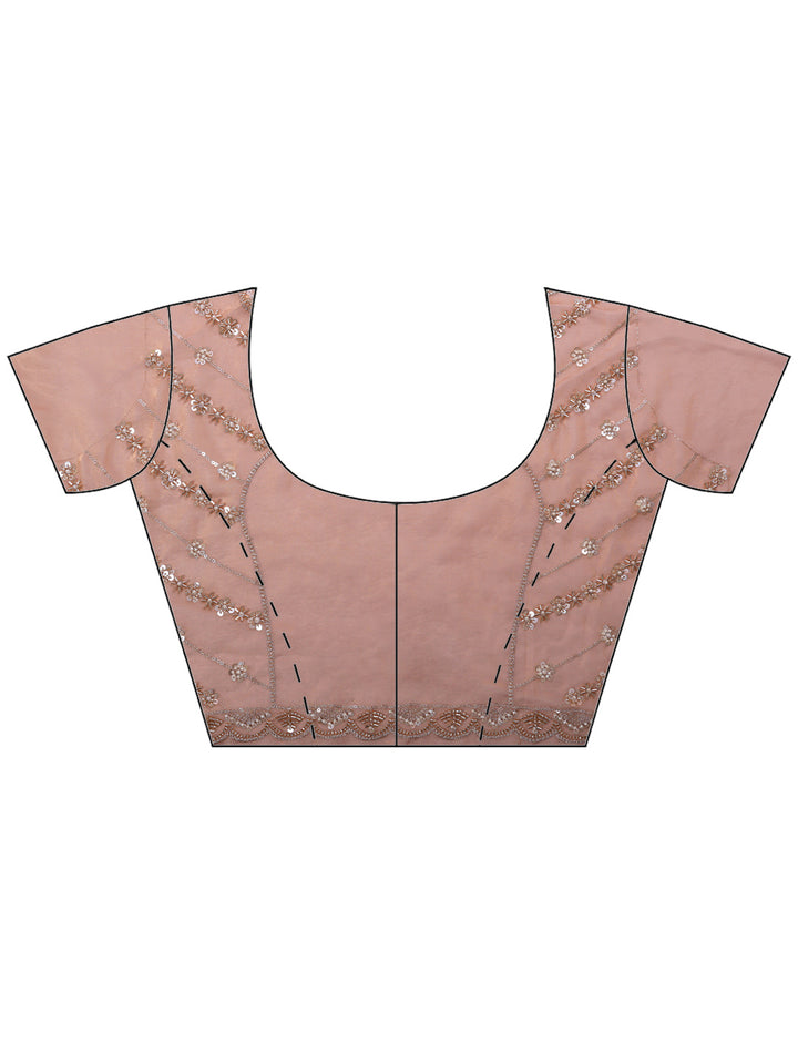 Dusty Pink Embroidered Tissue Saree